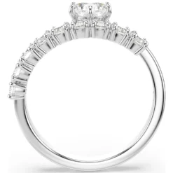 Anello aperto Matrix