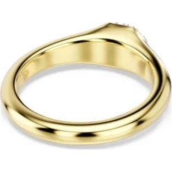 Anello Dextera
