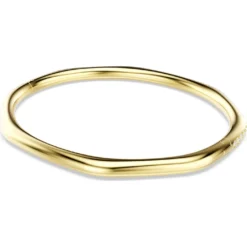 Bracciale rigido Dextera