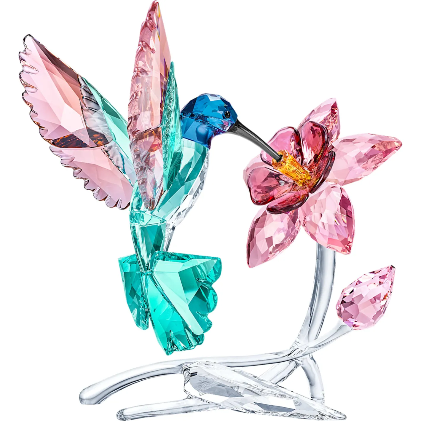Colibrì