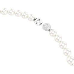 Collana Matrix