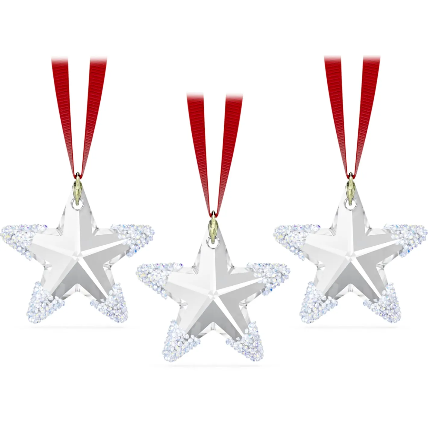 Exclusive Decorazione Stella d’Inverno Set di 3