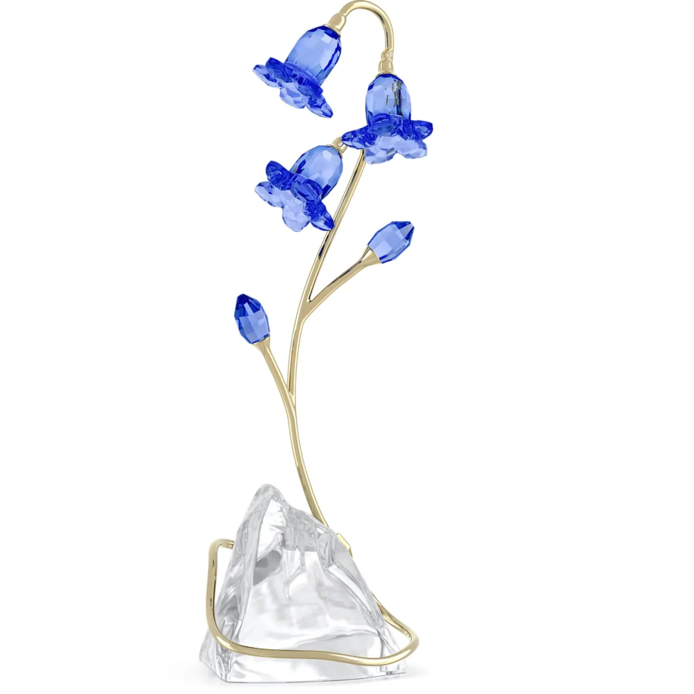 Florere Campanula Blu