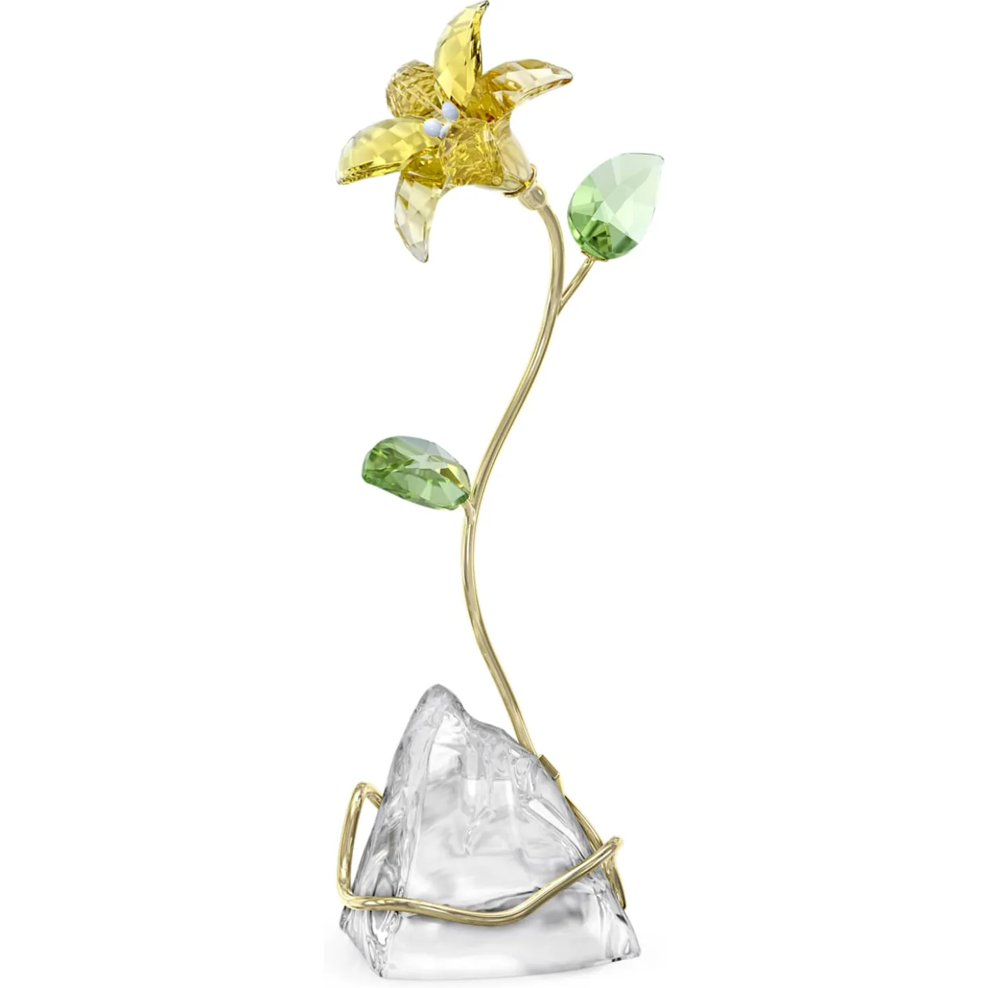 Florere Giglio