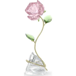 Florere Rosa