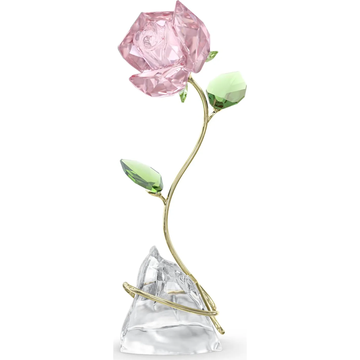 Florere Rosa