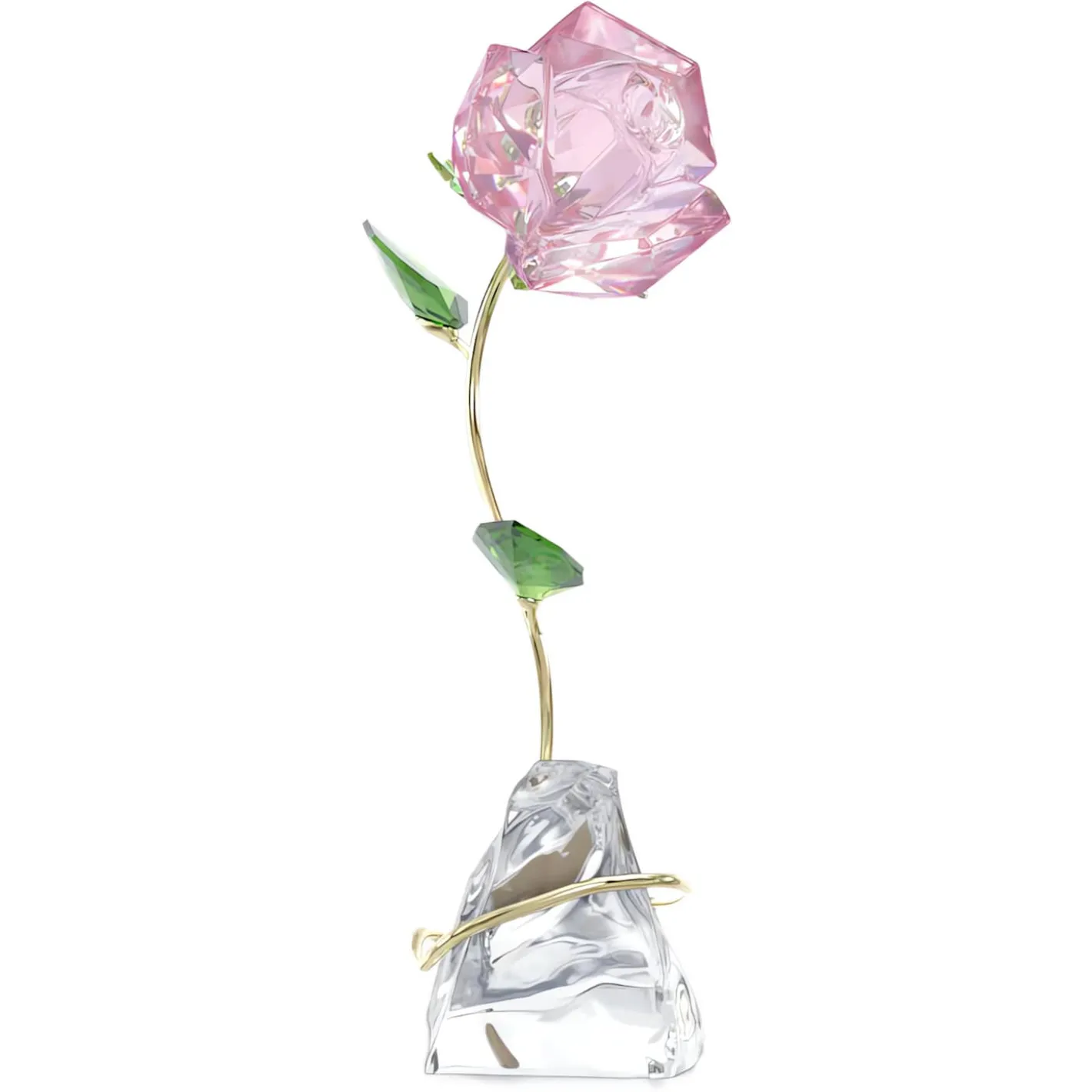 Florere Rosa