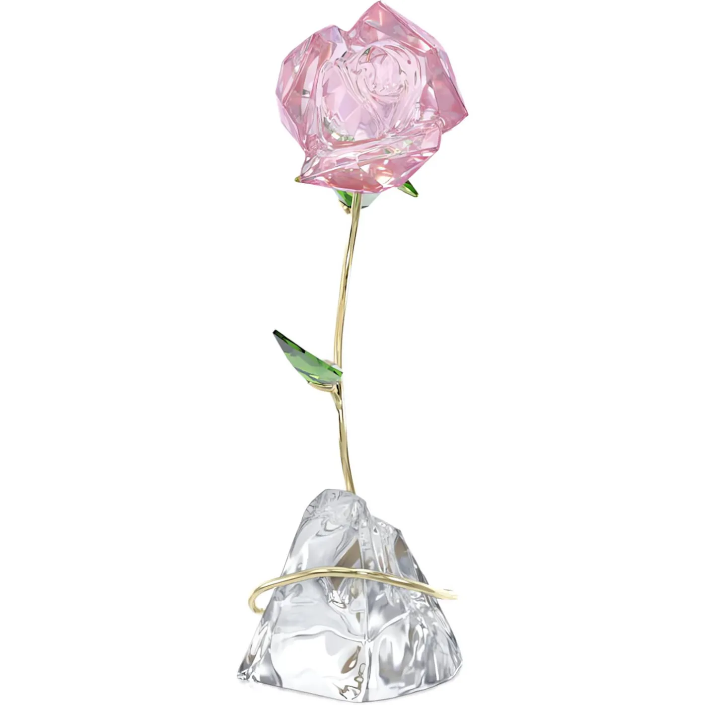 Florere Rosa