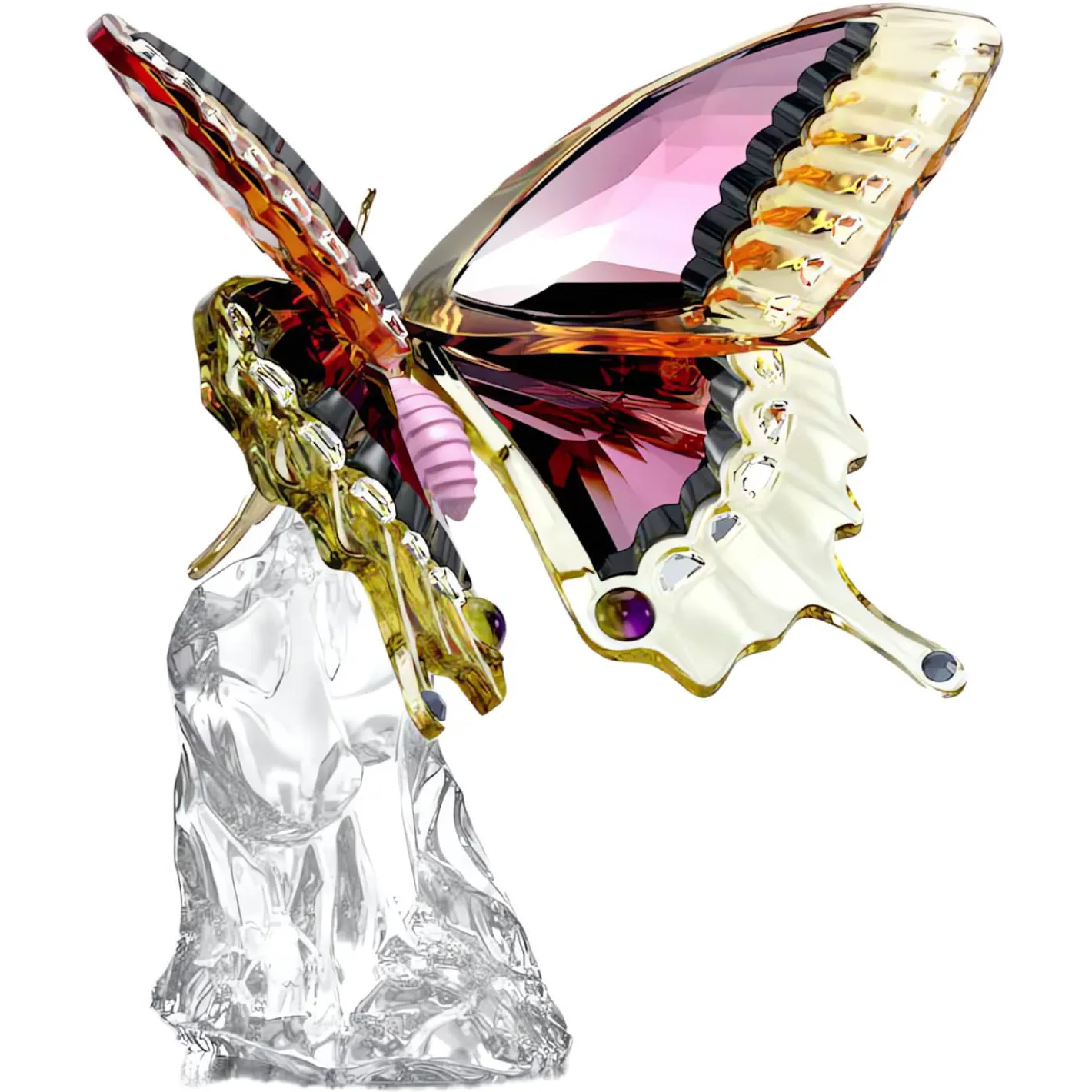 Idyllia Farfalla