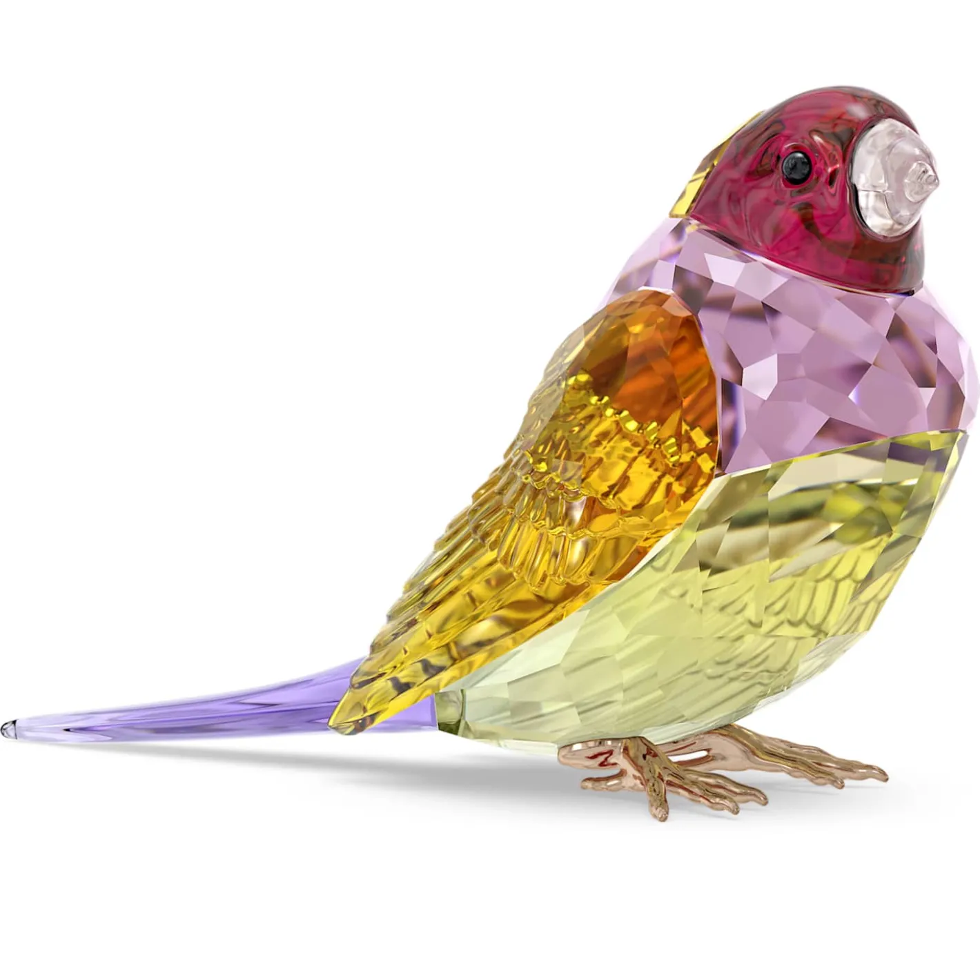 Idyllia SCS Diamante di Gould