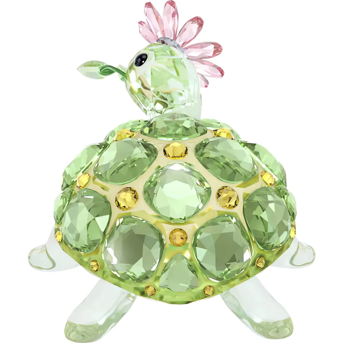 Idyllia Tartaruga e Margherita