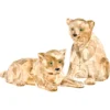 SCS Cuccioli di leopardo dell’Amur
