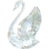 SCS Edizione Annuale Cigno 2024