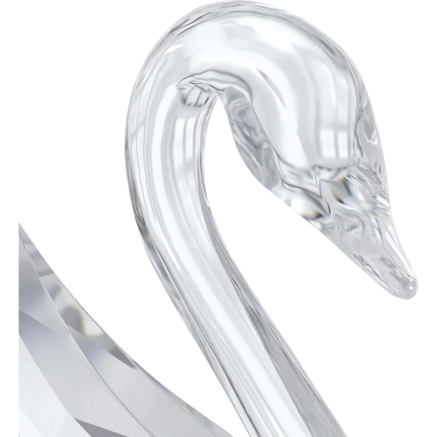 Signum Cigno